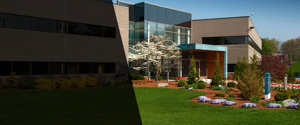 Panama City Landscapers