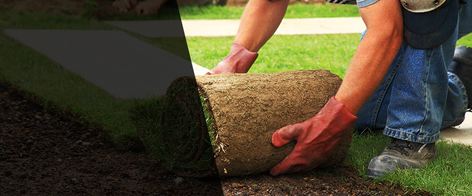 Panama City Landscapers